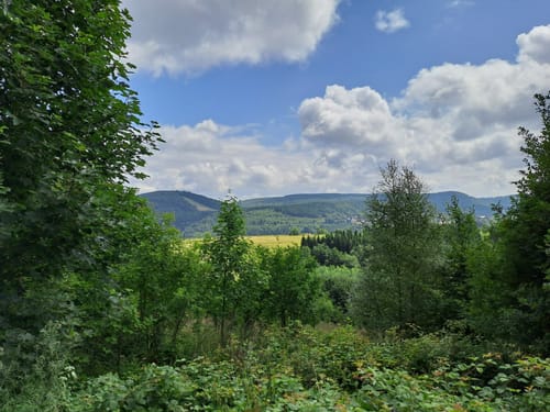 Küstelberg - Hillekopfhütte - Toter Mann