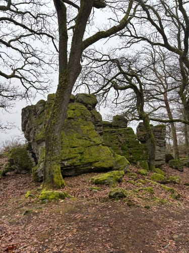 Hohemark zu Saalburg