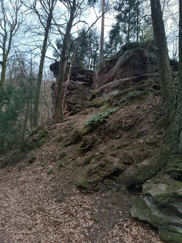 4-Burgen-Tour Notweiler