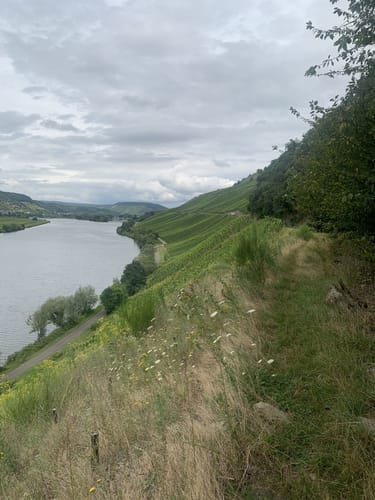 Seitensprung Mehringer Schweiz