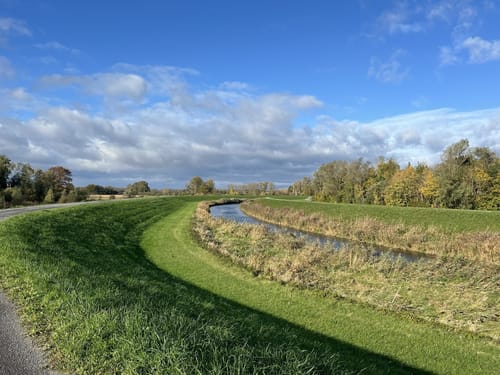 Entlang den Rheinauen