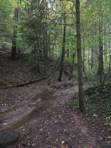 Hochburg und Höhlen