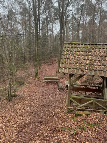 Leininger Klosterweg (Premiumwanderweg)