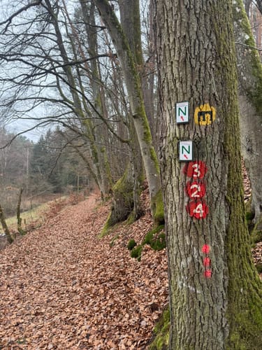 Leininger Klosterweg (Premiumwanderweg)