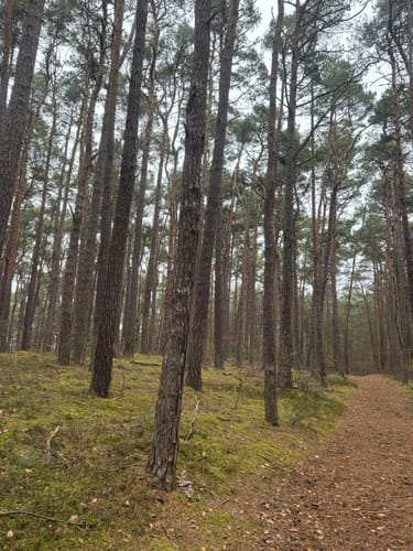 Leininger Klosterweg (Premiumwanderweg)