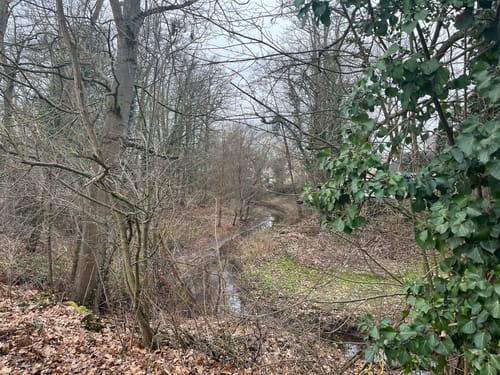 Stadtrundgang durch Germersheim
