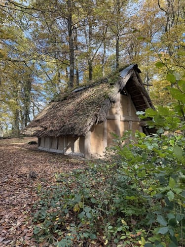 Druidenpfad bei Niedaltdorf