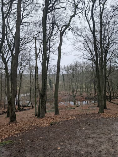 Auf dem Huntepadd zur Glaner Braut