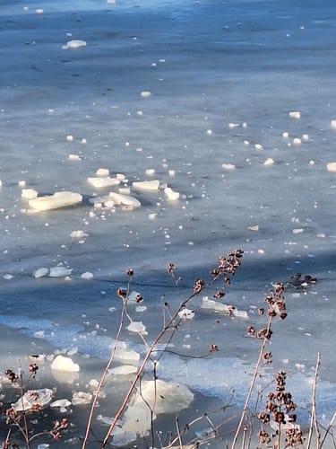 Um den Ortwiesensee