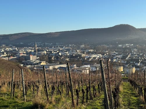 Traubenpfad 3 (Bad Neuenahr)