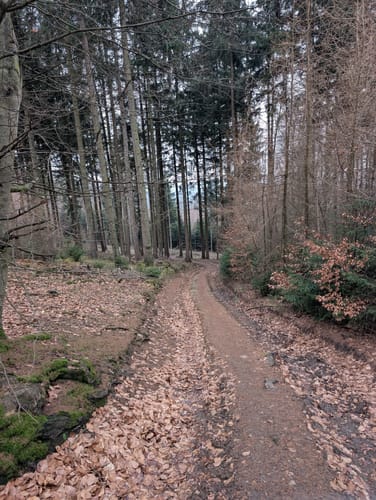 Rundweg A2: Rödinghausen - Grüner See