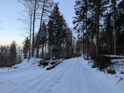 Uhustein ab Höchenschwand