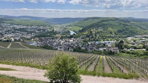 Vom Warsberg nach Ayl