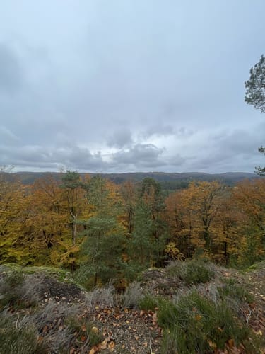 Rothenberg-Weg (Premiumwanderweg)