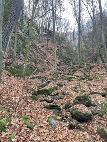 Rabenauer Grund - Somsdorf - Tharandt