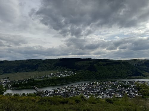 Zitronenkrämerkreuz (Premiumwanderweg)