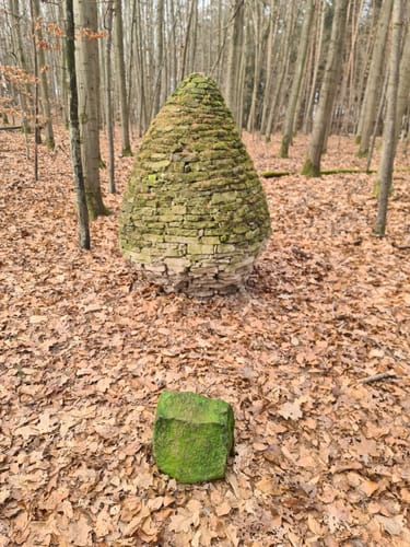 Heilbronner Waldheide und Stadtsee