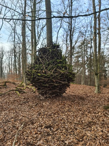 Heilbronner Waldheide und Stadtsee