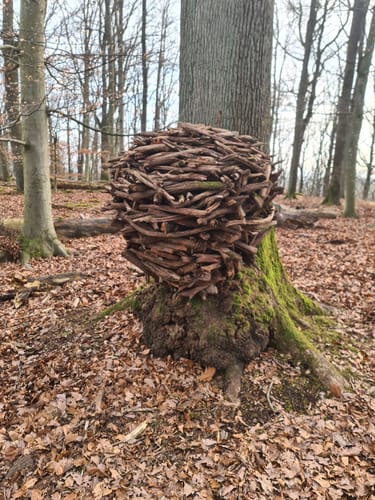 Heilbronner Waldheide und Stadtsee