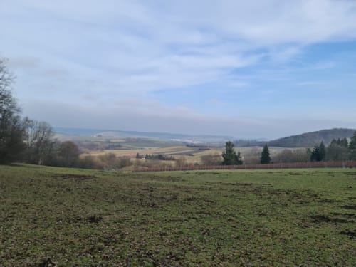 Heilbronner Waldheide und Stadtsee