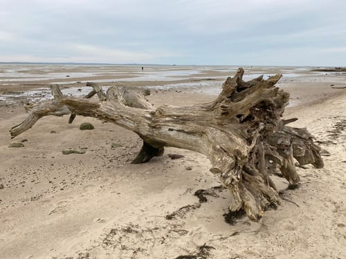 Ludwigsburg – Greifswalder Bodden – Buchenwald