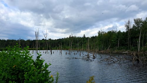 Kirchheller Heide Rundwanderung