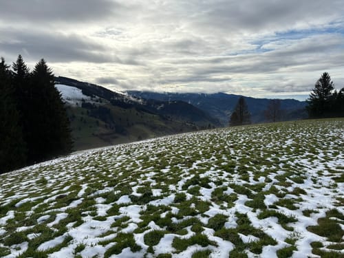 Gieshübel - Köhler - St. Ulrich
