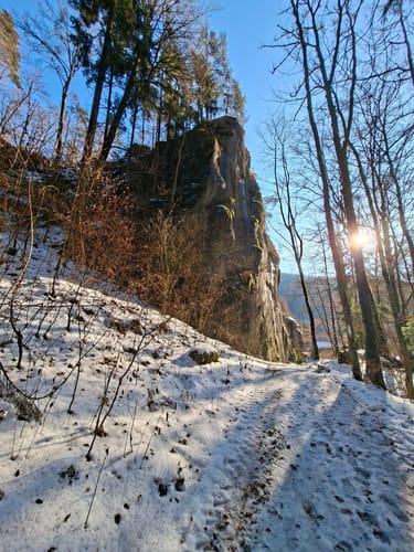 Pegnitztal bei Rupprechtsstegen
