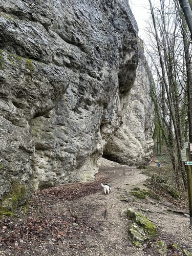 Burgruine Neideck – Ruine Streitburg von Muggendorf