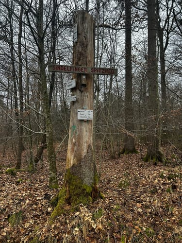 Musberg Rundweg