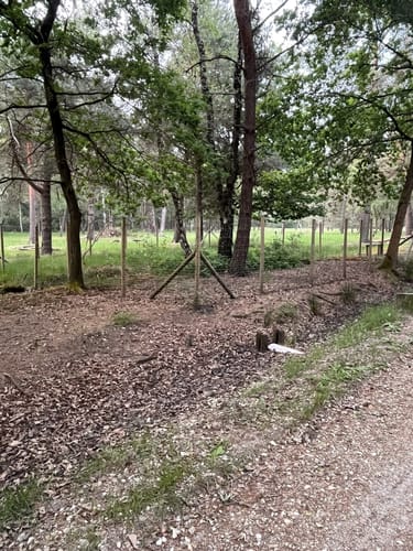 Heiderundweg (Teverener Heide Lila Route)