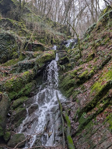Enderttal Rundweg ab Cochem