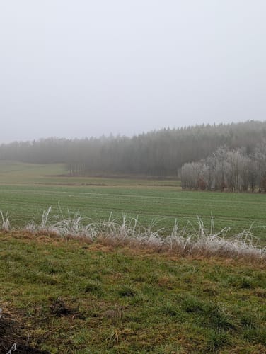 Enderttal Rundweg ab Cochem