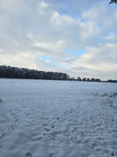NORDPFAD Federlohmühlen