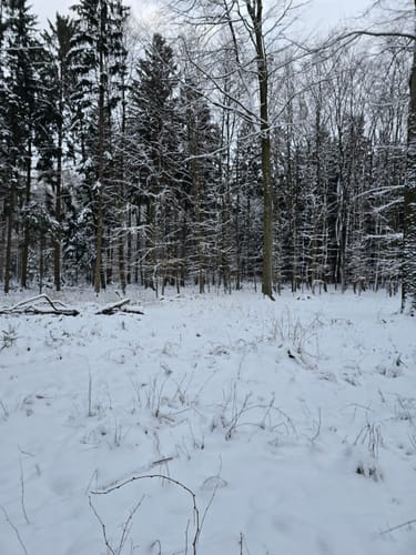 NORDPFAD Federlohmühlen