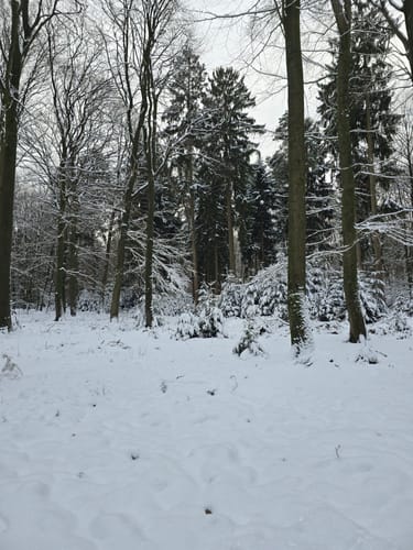 NORDPFAD Federlohmühlen