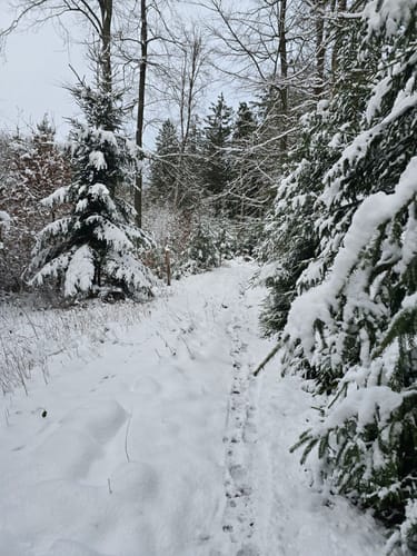 NORDPFAD Federlohmühlen
