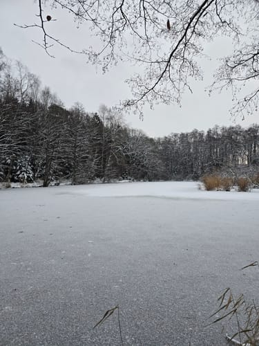 NORDPFAD Federlohmühlen