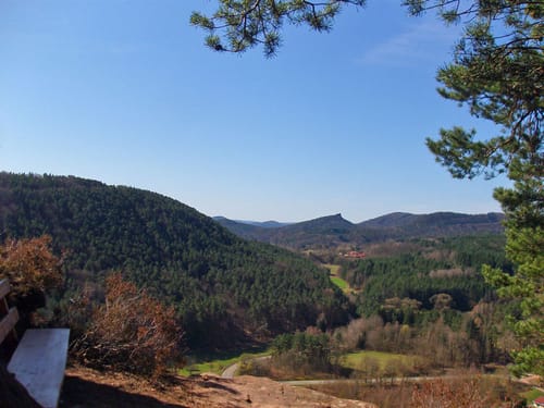 Spirkelbacher Höllenbergtour (Premiumwanderweg)