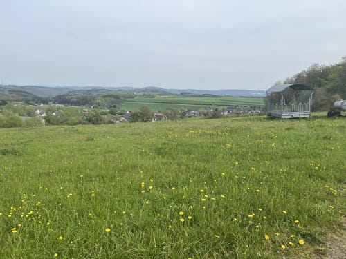 Eifelturmpfad Boos (Traumpfädchen)