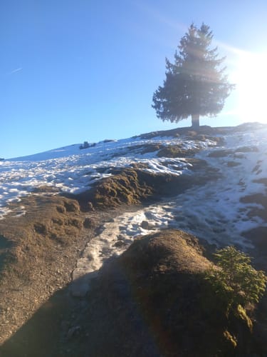 Stallauer Kopf - Zwiesel - Blomberghaus - Heiglkopf