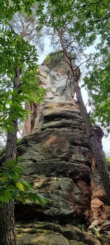 Bärensteig (Premiumwanderweg)