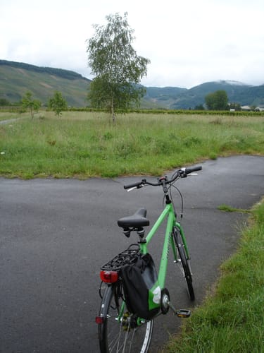 Mosel Radweg Etappe 5: Piesport - Bernkastel-Kues