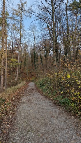 Im Leudelsbachtal