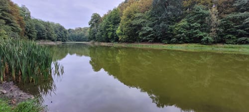 66-Seen-Rundweg Etappe 6: Melchow - Leuenberg