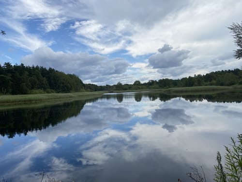 Südheide 'Reine Luft zu sehen' W18k (kurze Tour)