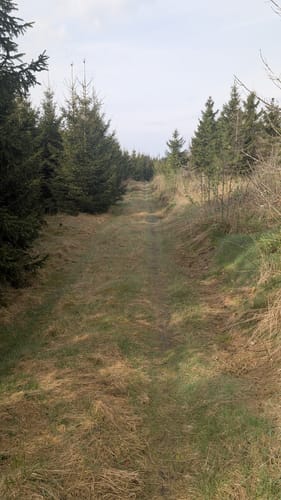 Von Sieber über die Aschentalshalbe