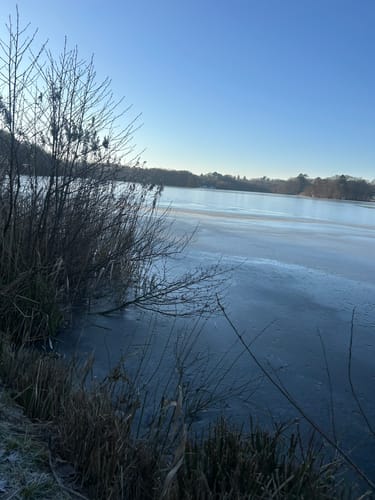 Rund um den Lütjensee