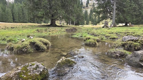 Von Immenstadt zur Alpe Gund