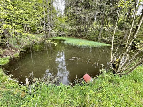 HeimatSpur Pfad der Artenvielfalt